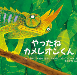 【新品未開封】カメレオンリーダー 製品 | Chameleon Reader