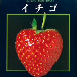 フランス 19世紀植物図鑑いちご 額装 フランス 19世紀植物図鑑いちご 額装