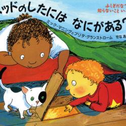 ふしぎだな？知らないこといっぱい 絵本セット 夏休み 科学 化学 読書