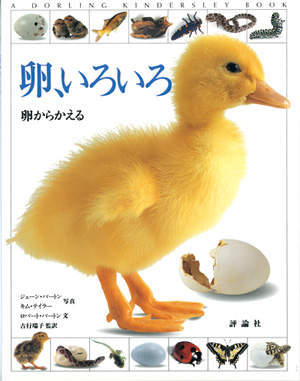 卵、いろいろ -卵からかえる-
